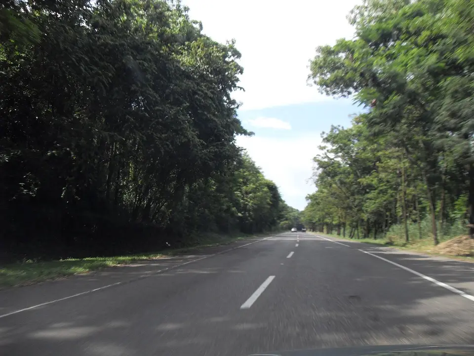 Seguro de auto